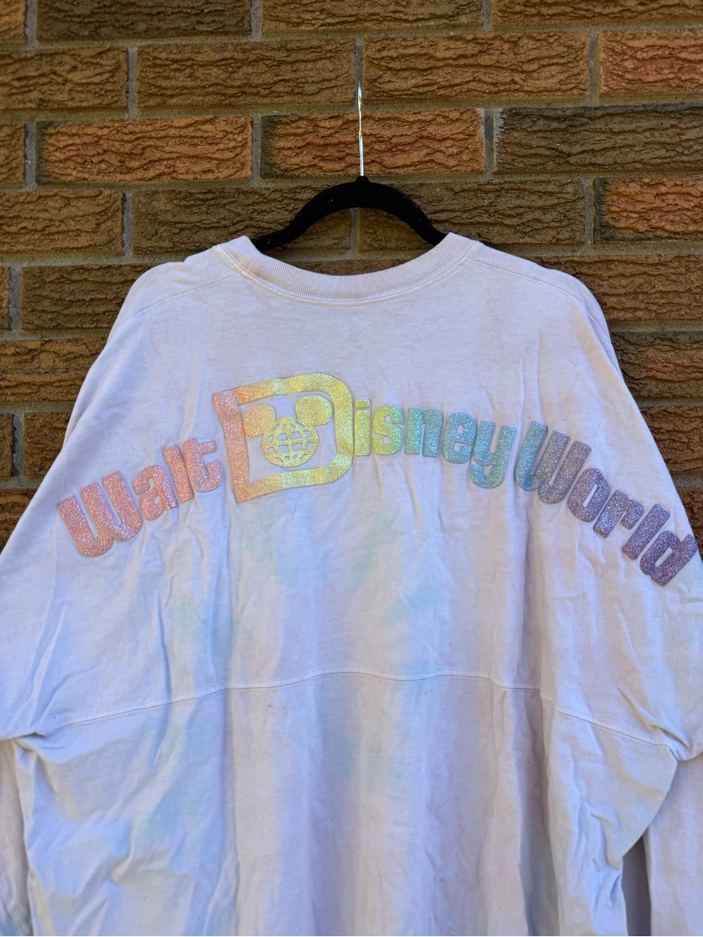 Disney Spirit Jersey with Iridescent Walt Disney World Logo
